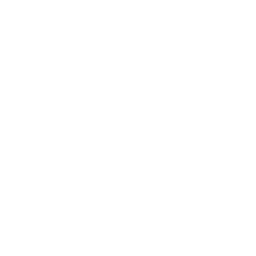 Firmware Engineering